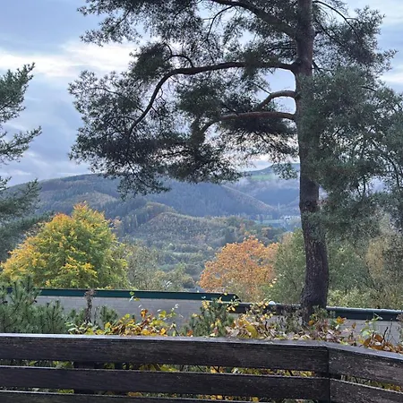 Spectacular View